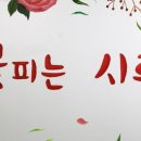 꽃피는시루