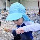 자갈밭 민박 이미지