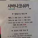 사바나 코쉬카 | [부천 중동] 신중동역 근처 고양이카페 캣카페 '사바나코쉬카'(+영업시간)