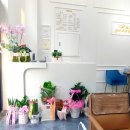 가위여왕 이미지