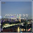 단요가 | [공지] [6월] 2024년 6월의 일상 (2024, June)