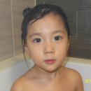 서지희 카카오 검색결과