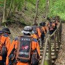 주왕산공원 관리사무소 | 주왕산 산불 확산과 안전 사고 리스크 관리
