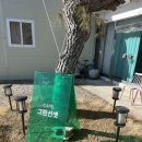 황룡리 | 세종카페] 금남면 황룡리카페 훌륭한 디저트와 커피도 잘했던“그린선셋”