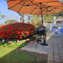 파르데스 이미지