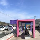 세븐일레븐 강진청자점 | 강진여행지 가우도 출렁다리 입장료 및 먹거리 안내 주차장 정보까지 레츠기릿!