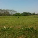 인후공원(배수지) 이미지