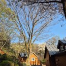 성산로R 이미지