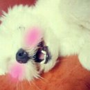 유성주유소 이미지