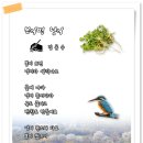 새 소리(한태주) / 오카리나 연주곡 이미지