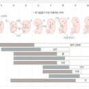 마젠타스튜디오 네이버블로그