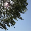 마중물 | 언어지연 언어센터 , 부산시 마중물카드 교육청 방문 신청 후기