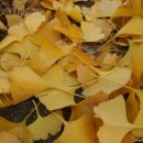 벌말농원 이미지