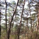 강천산군립공원(강천사) 이미지