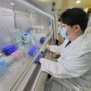 [2025 DAILY PICK 제179호] &#39;기술사업화 연구개발과제는 &#39;3책5공&#39; 예외 대상으로&#39; 등 이미지