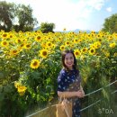 환경시설관리공사 달성사업소 이미지