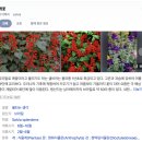 와 버렸어... 마의 3개월