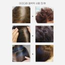 이리다레 물염색약, 따가움 NO, 손상 NO! 암모니아 없는 이리다래 새치커버