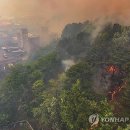 대구서변초등학교조야분교장 이미지