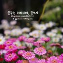 열세테이블 이미지