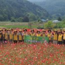 길곡리 경로당 홍천인터넷신문