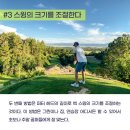 로얄 골프아카데미 이미지