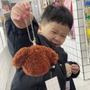 남천1-209 이미지