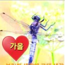 덕담 이미지