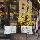 종로맛집/아구찜 : 곤이와 대창이 듬뿍 들어간 미친 비주얼 ‘개나리아구찜 종로직영점’ 후기