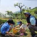 봉오초병설유치원 이미지