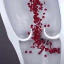 하지웰심장혈관흉부외과의원 이미지