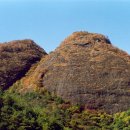 백아산 토종 이미지