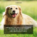 지산동물병원 이미지