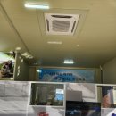 (주)반려동물 장례지원단 | 대전강아지장례 갑작스러운 이별을 마주했을 때