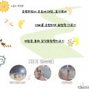 A.B.C.쇼핑 | 포항 송도해수욕장 강철챌린지 관람 후기