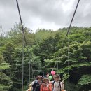 치산계곡... 이미지