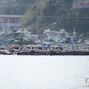 선창가 민박 이미지