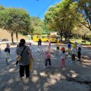 성분도어린이집 이미지