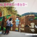 아름1농장 이미지