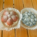 프롬:타르트 이미지