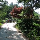 오리골민박 이미지