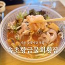 속초 중앙시장 신상 맛집 속초황금물회횟집 포장 후기