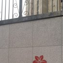 죽동 금성백조 이미지