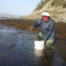 청학동참살이마을 이미지