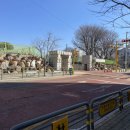 장기동 고창초등학교 앞 이미지