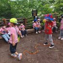 고일어린이집 이미지