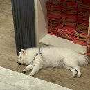 천곡참숯가마찜질방 이미지