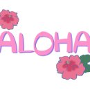 베베펫살롱 이미지