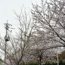 미미네텃밭 이미지