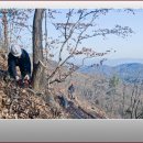 남한산성 주변둘레 1km 폭 10m 나무를 살리다. 이미지